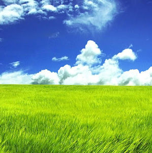 Meet your Posher, Logan